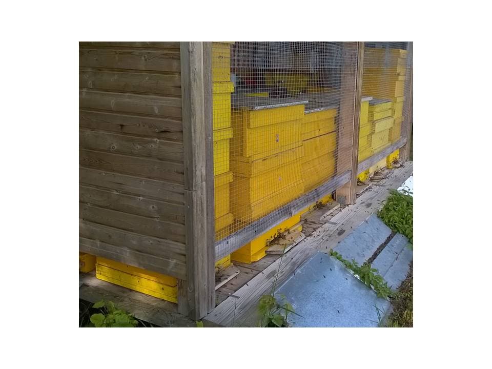 Bienenstände der Martin Imkerei in einem wettergeschützten Gehege