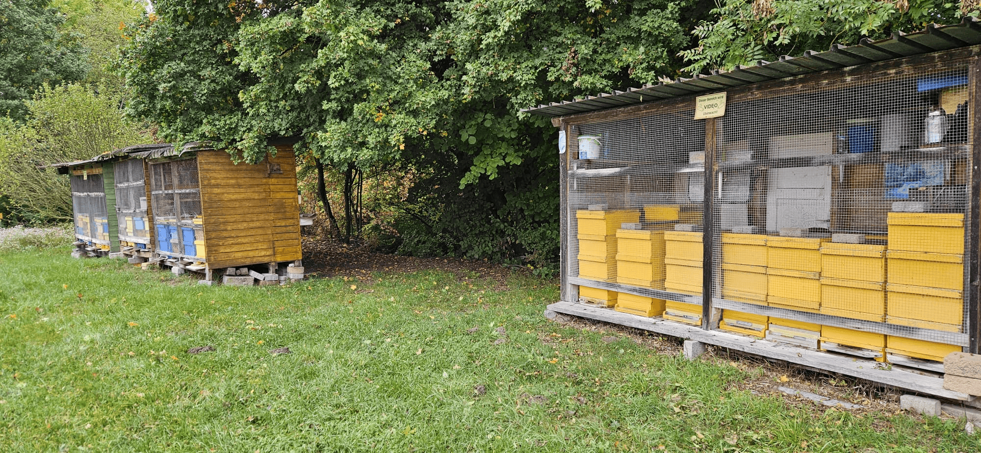 Bienenstände der Martin Imkerei in einem wettergeschützten Gehege